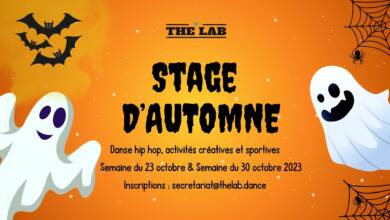 Stage_automne2023-1024x576.jpg